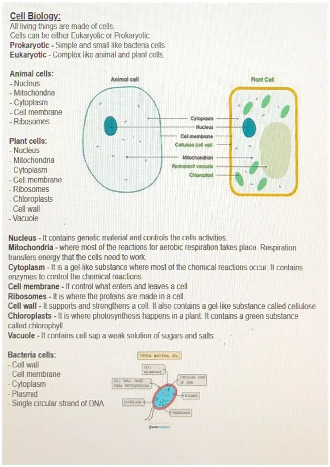 Biology topic 1 