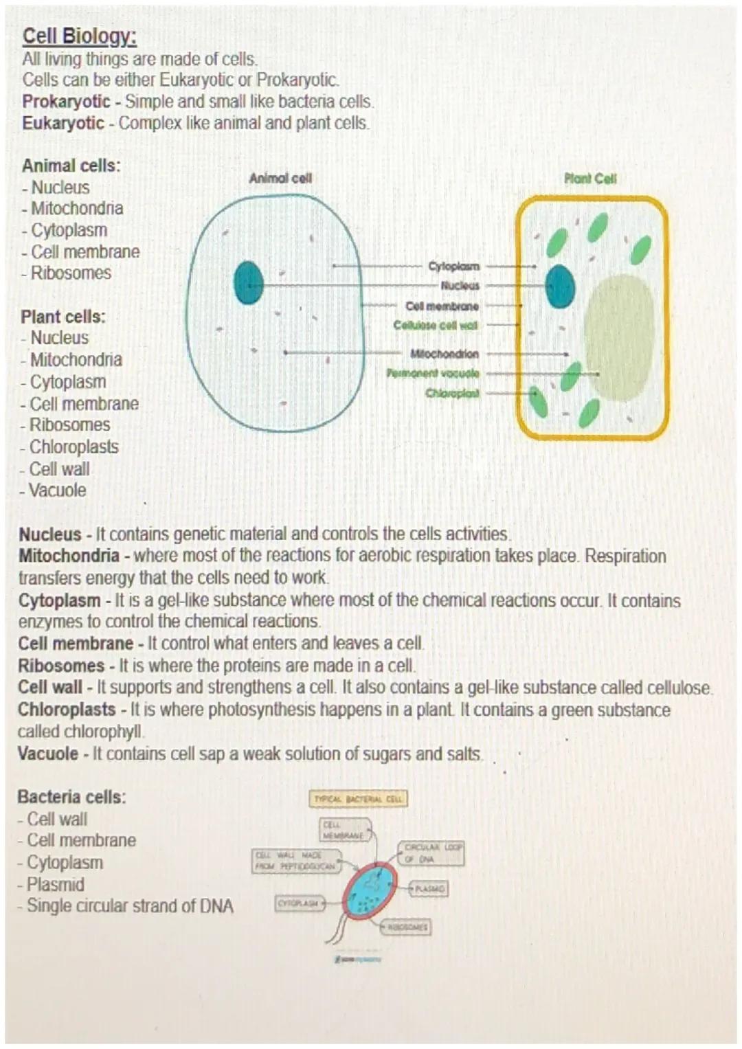 Cell Biology:
All living things are made of cells.
Cells can be either Eukaryotic or Prokaryotic.
Prokaryotic - Simple and small like bacter