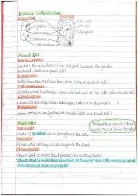 Know Biology Notes thumbnail