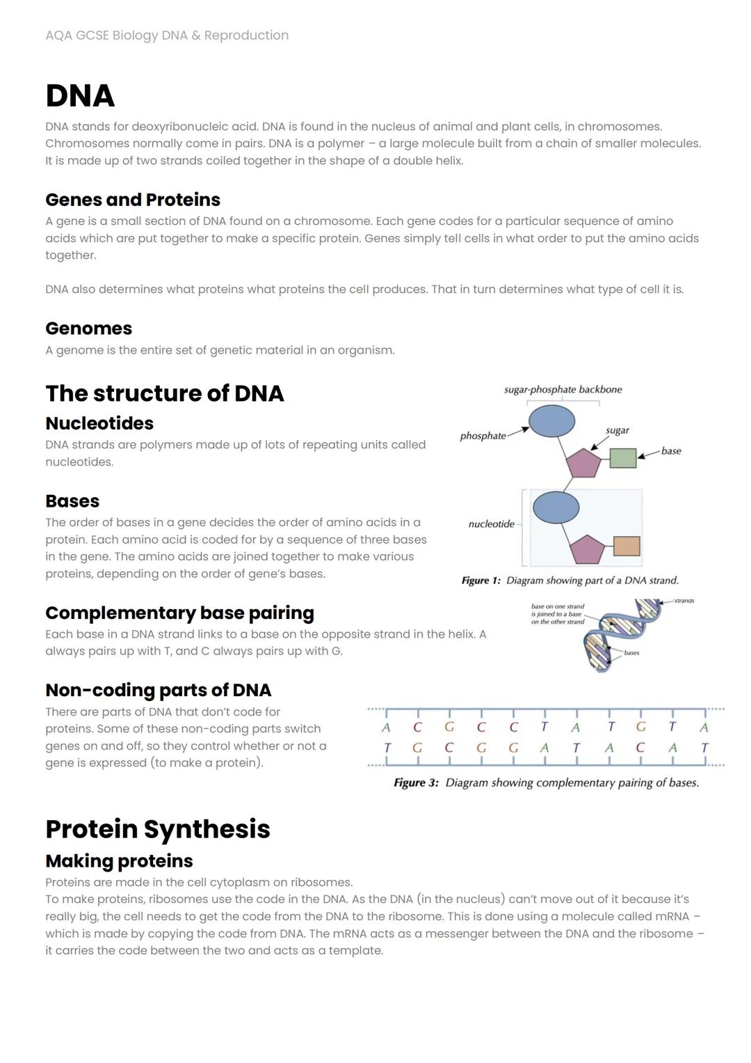 # AQA GCSE Biology DNA & Reproduction

# DNA
DNA stands for deoxyribonucleic acid. DNA is found in the nucleus of animal and plant cells, in
