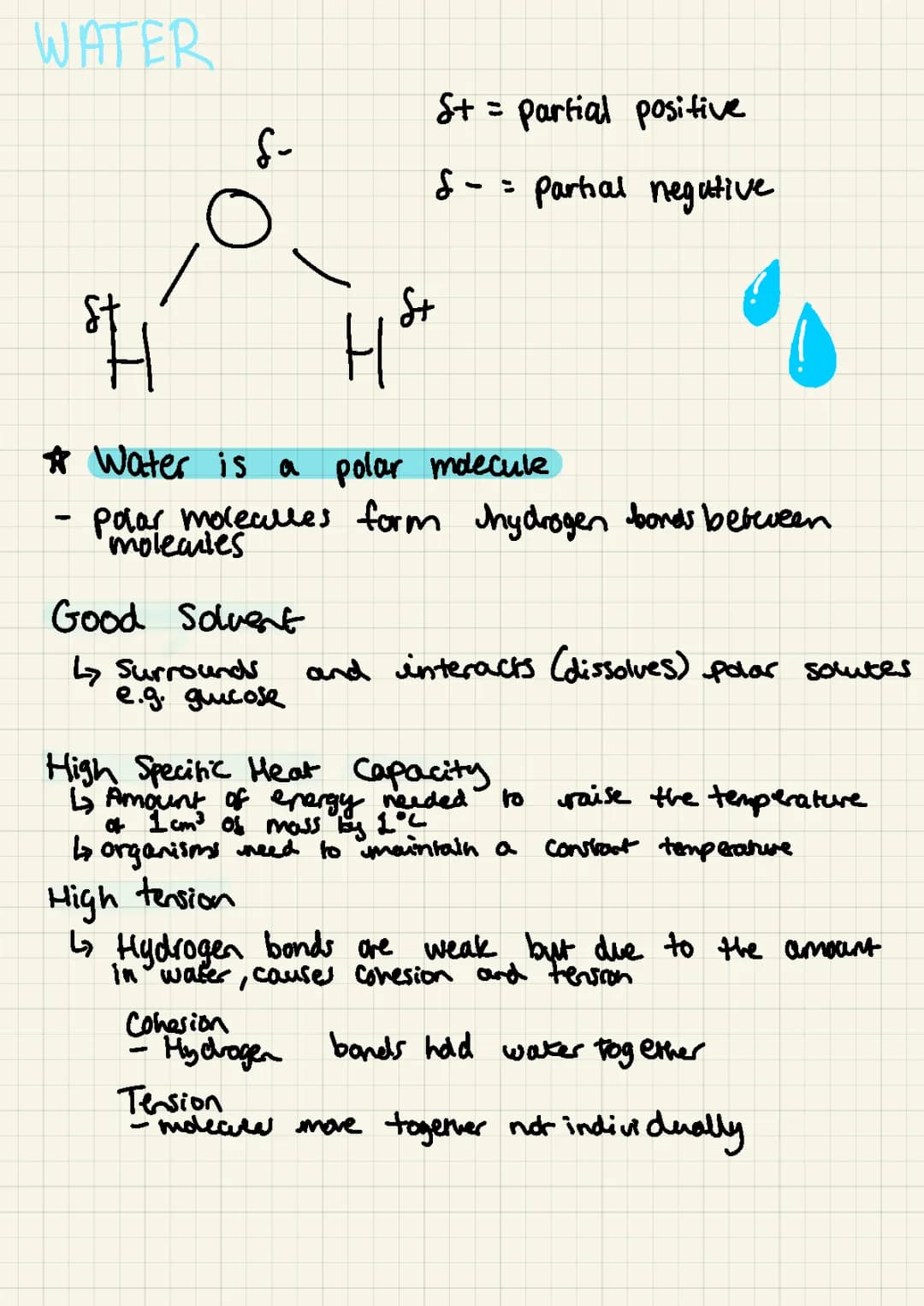 Chemistry of Water 