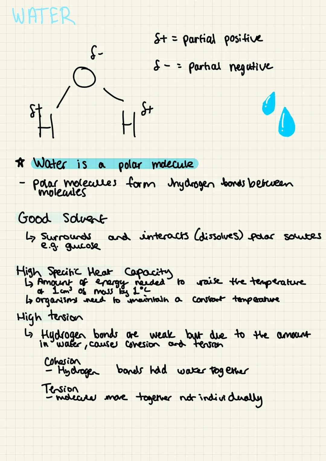 WATER
-
Good Solvent
↳ Surrounds
✰ Water is a polar molecule
polar molecules form Jhydrogen bonds between
molecules
e.g. gucose
H
S+ = parti