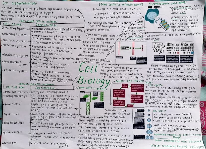 Eukaryotes and prokaryotes:
Cells of bacteria =
prokaryotic cells
cells of animal, plants and fungi = eukaryo-
nic cells.
Eukaryotic cells
P