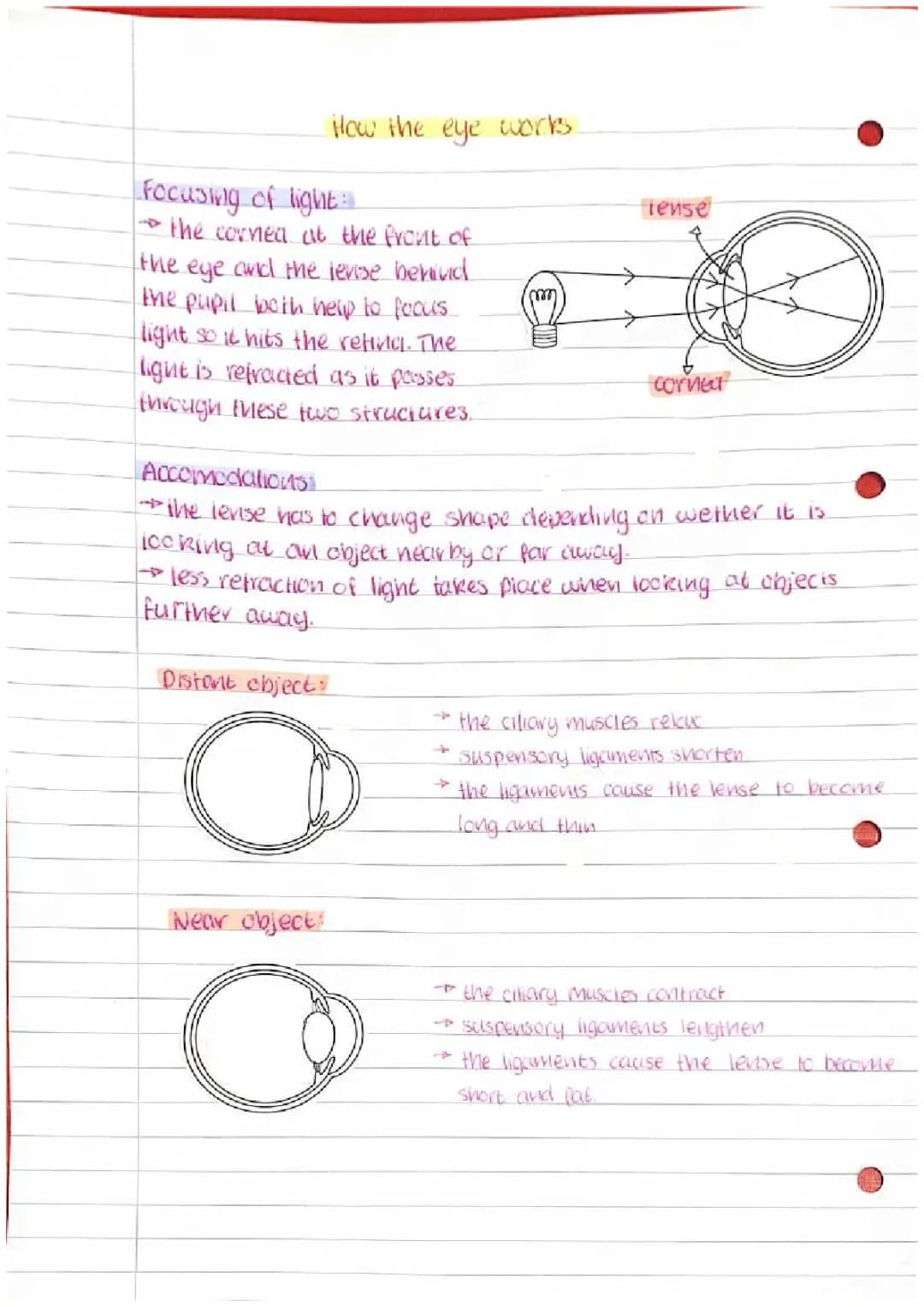 How Your Eyes Focus: Light, Cornea, Lens, and Pupil Magic