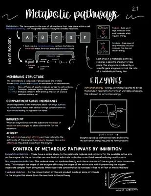 Know Metabolism and Survival - 2.1 Metabolic Pathways thumbnail