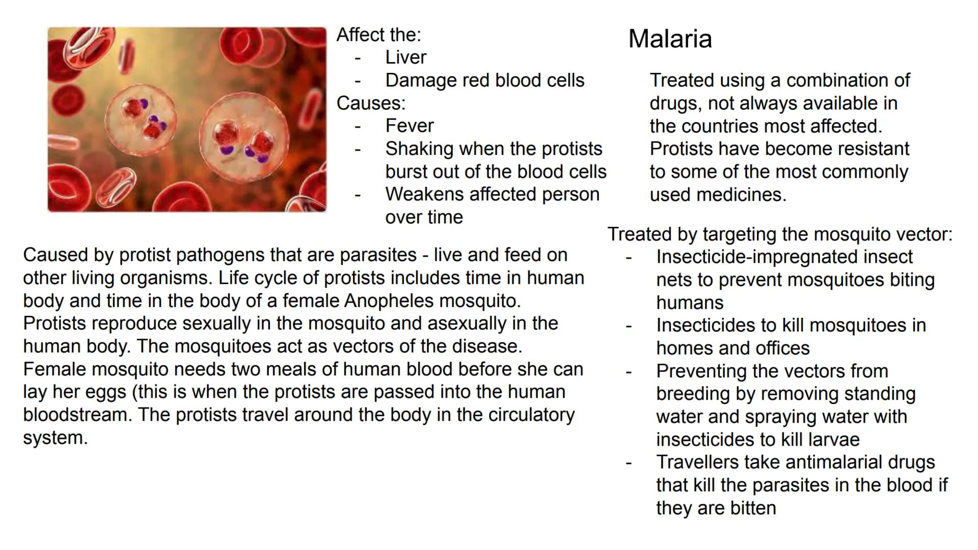 Symptoms:
Fever
Red skin
-
Spread:
May cause:
-
-
Inhalation of droplets from
coughs and sneezes, air
droplet particles
Blindness
Measles
Br