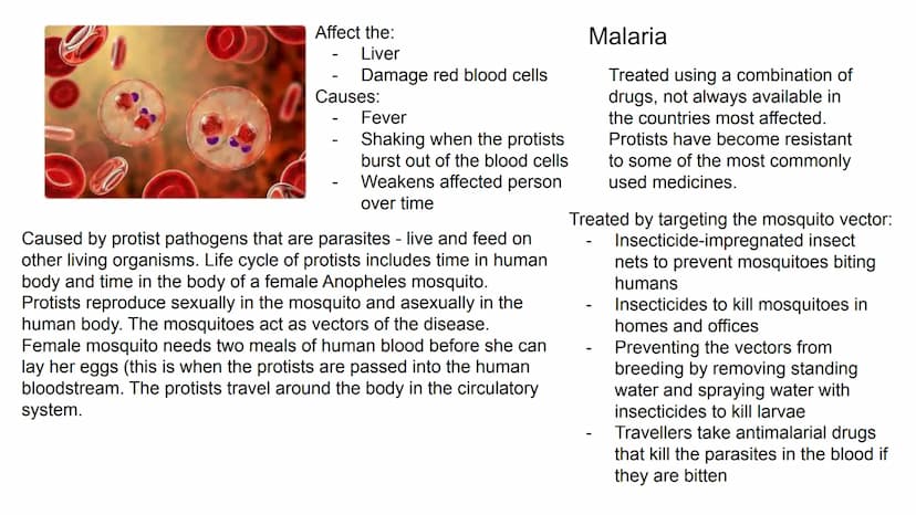 Symptoms:
Fever
Red skin
-
Spread:
May cause:
-
-
Inhalation of droplets from
coughs and sneezes, air
droplet particles
Blindness
Measles
Br