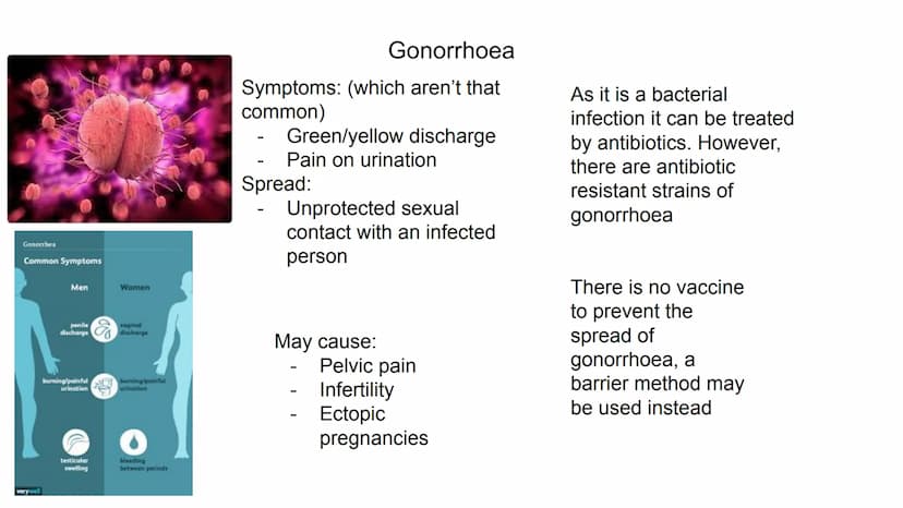Symptoms:
Fever
Red skin
-
Spread:
May cause:
-
-
Inhalation of droplets from
coughs and sneezes, air
droplet particles
Blindness
Measles
Br