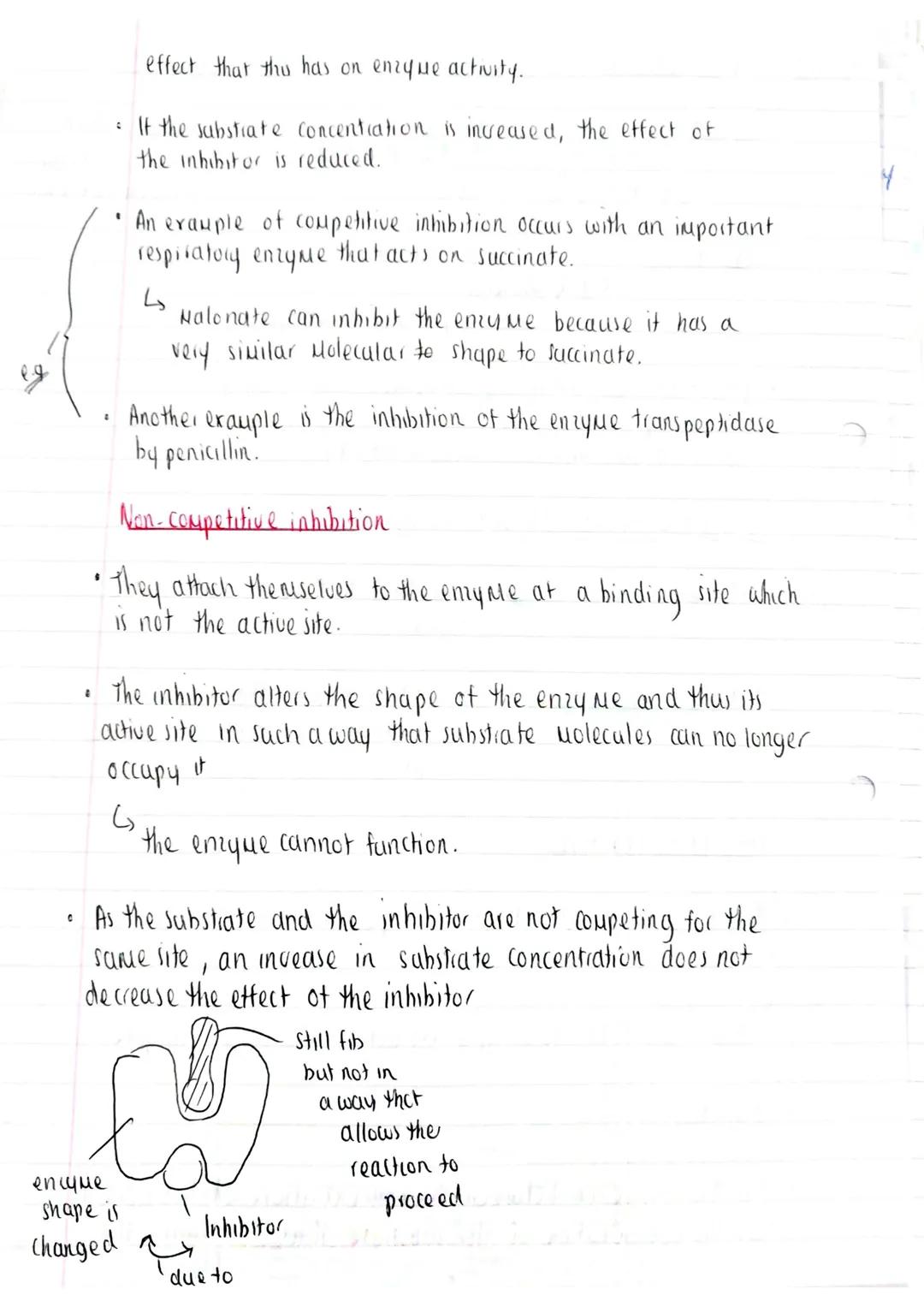 Bialagical Hokeukes
[ 1.9 Enzyme inhibition ]
TOPIC:
SPEC POINT:
6
3.1 Biological Molecules.
3.1.4 Proteins
3.4.4.2 Many proteins are enzyme