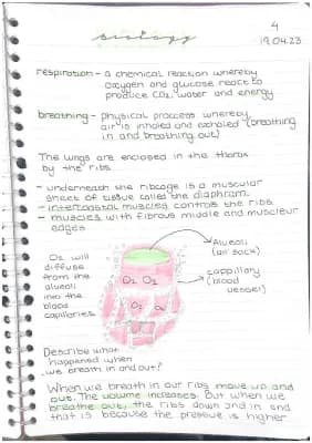 Know respiration  thumbnail