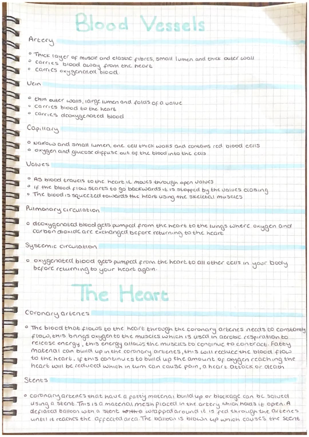 
<h2 id="arteries">Arteries</h2>
<p>Arteries are characterized by a thick layer of muscle and elastic fibers, a small lumen, and a thick out