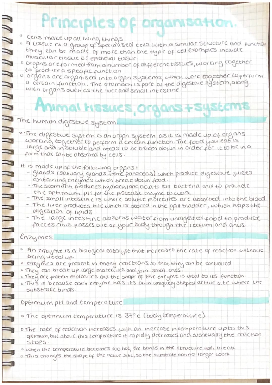 
<h2 id="arteries">Arteries</h2>
<p>Arteries are characterized by a thick layer of muscle and elastic fibers, a small lumen, and a thick out
