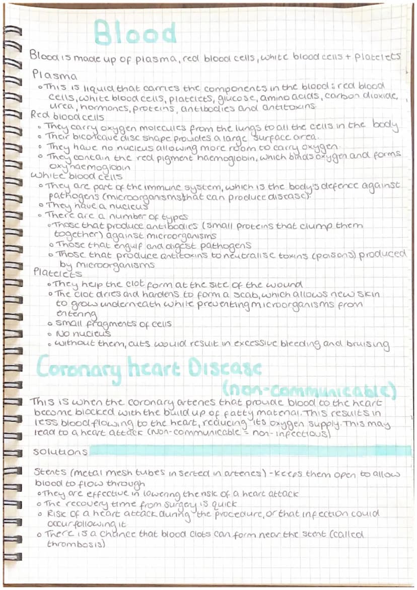 
<h2 id="arteries">Arteries</h2>
<p>Arteries are characterized by a thick layer of muscle and elastic fibers, a small lumen, and a thick out