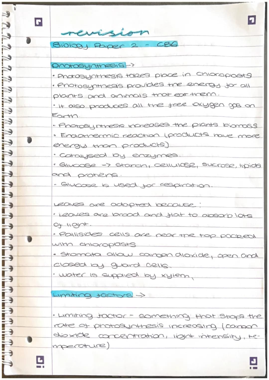 Di
revision
Biology Paper 2
Photosynthesis ->
• Photosynthesis takes place in chloroplasts
• Photosynthesis provides the energy for all
plan