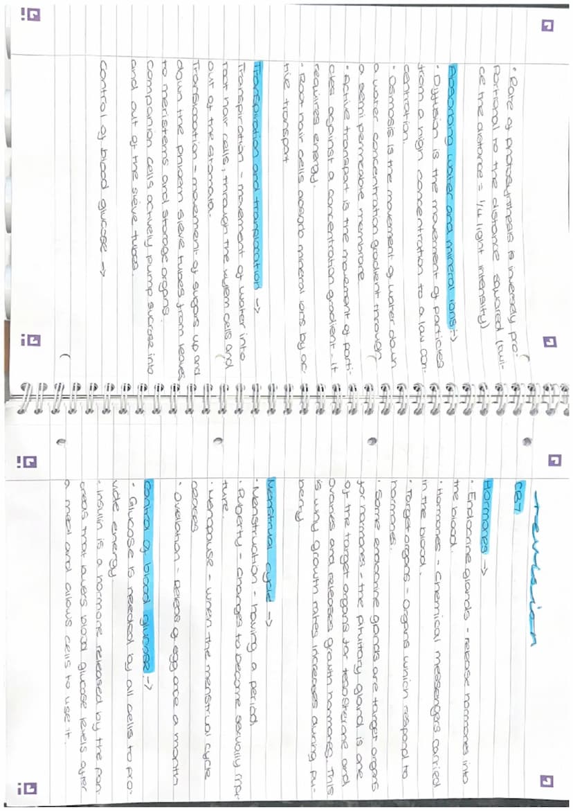 Di
revision
Biology Paper 2
Photosynthesis ->
• Photosynthesis takes place in chloroplasts
• Photosynthesis provides the energy for all
plan