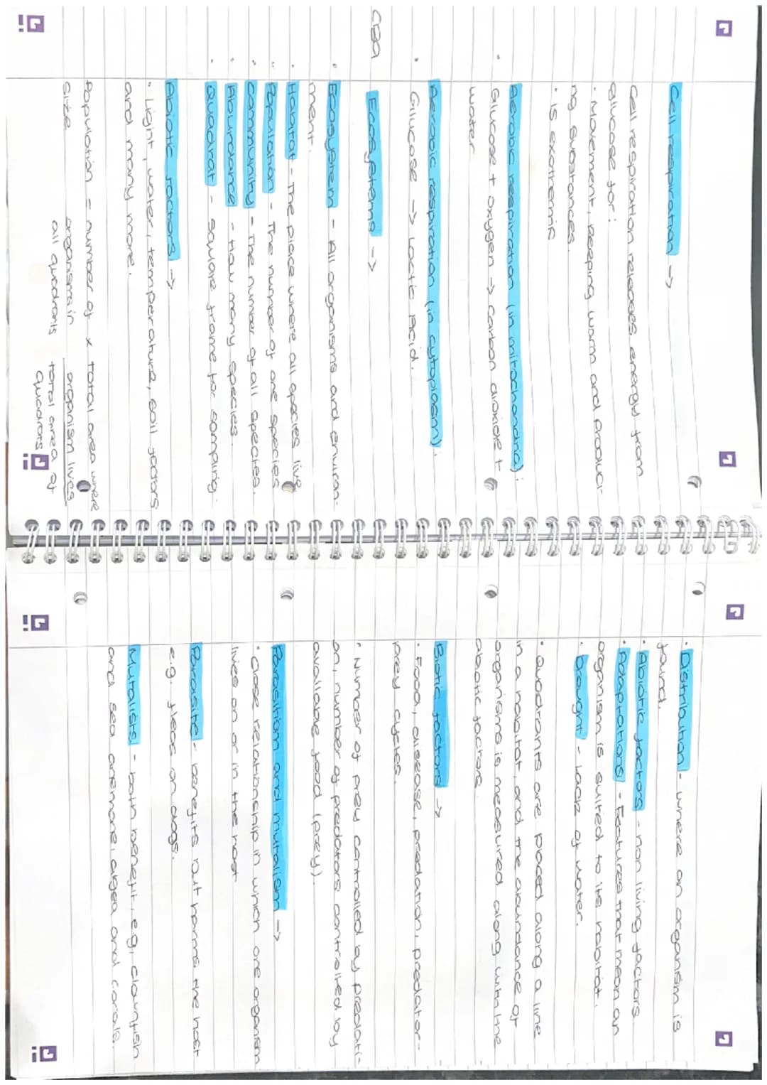 Di
revision
Biology Paper 2
Photosynthesis ->
• Photosynthesis takes place in chloroplasts
• Photosynthesis provides the energy for all
plan