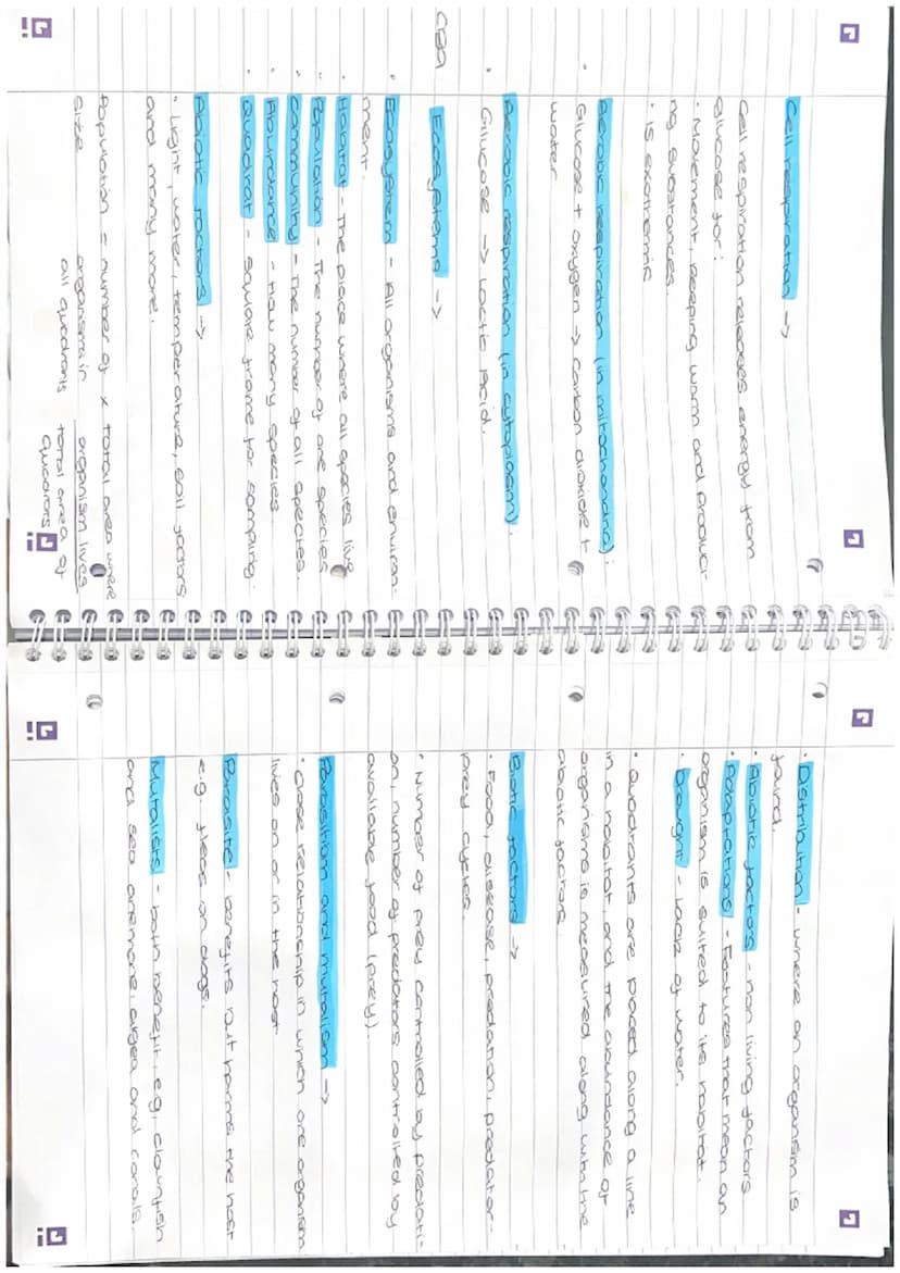Di
revision
Biology Paper 2
Photosynthesis ->
• Photosynthesis takes place in chloroplasts
• Photosynthesis provides the energy for all
plan