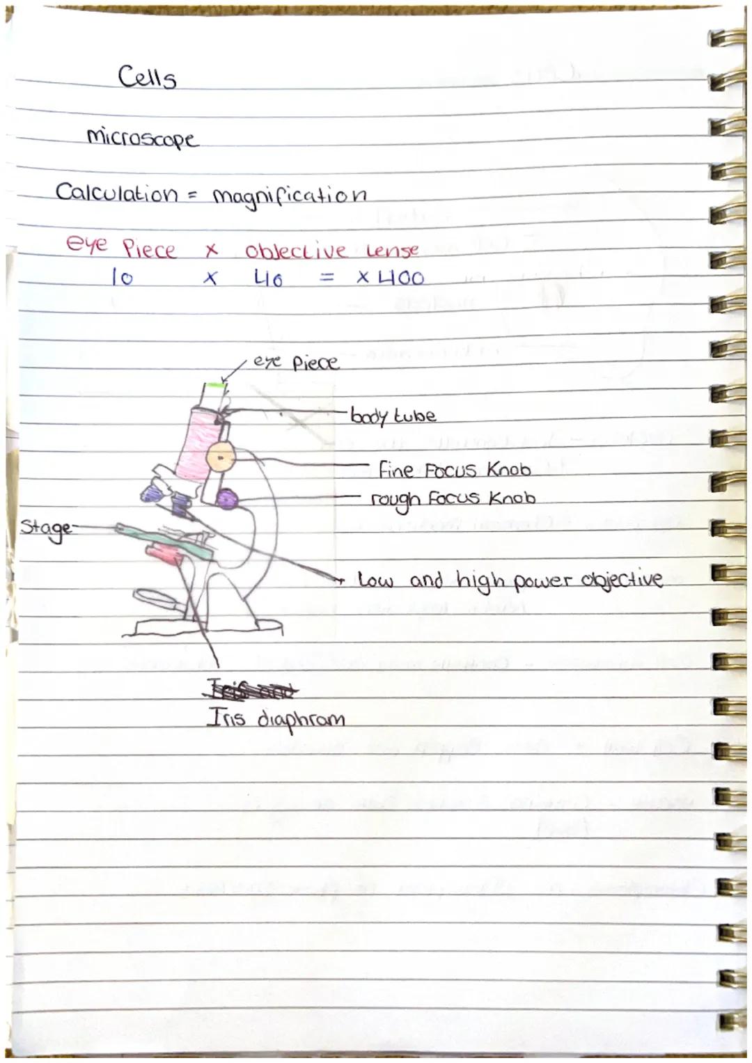 44 90
Cells
Cell membrane
nucleus. Just Controls the cell
+ Contains genetic material
Cell wall
cyto plasm
cell membrane
Cytoplasm - Chemica