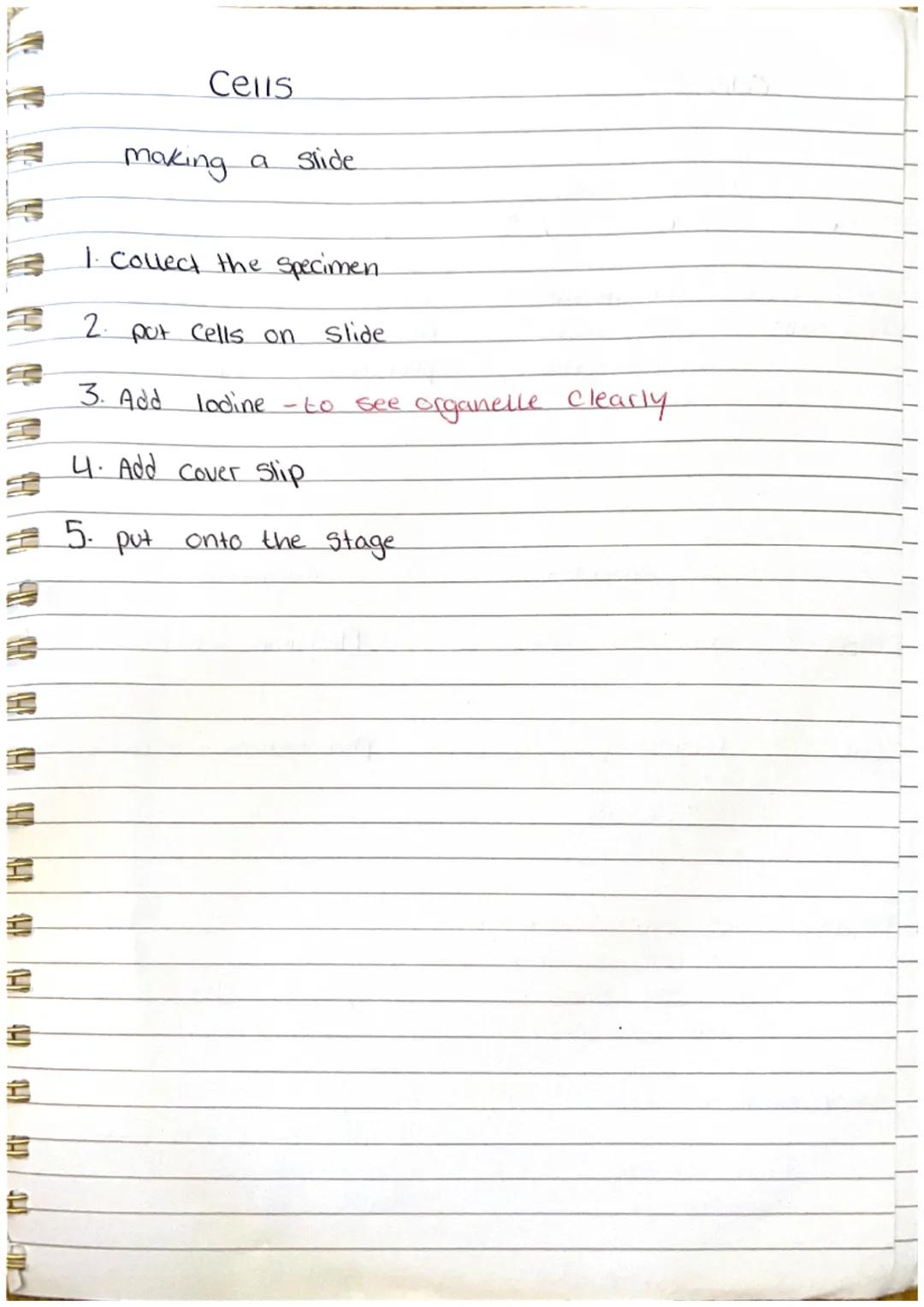44 90
Cells
Cell membrane
nucleus. Just Controls the cell
+ Contains genetic material
Cell wall
cyto plasm
cell membrane
Cytoplasm - Chemica