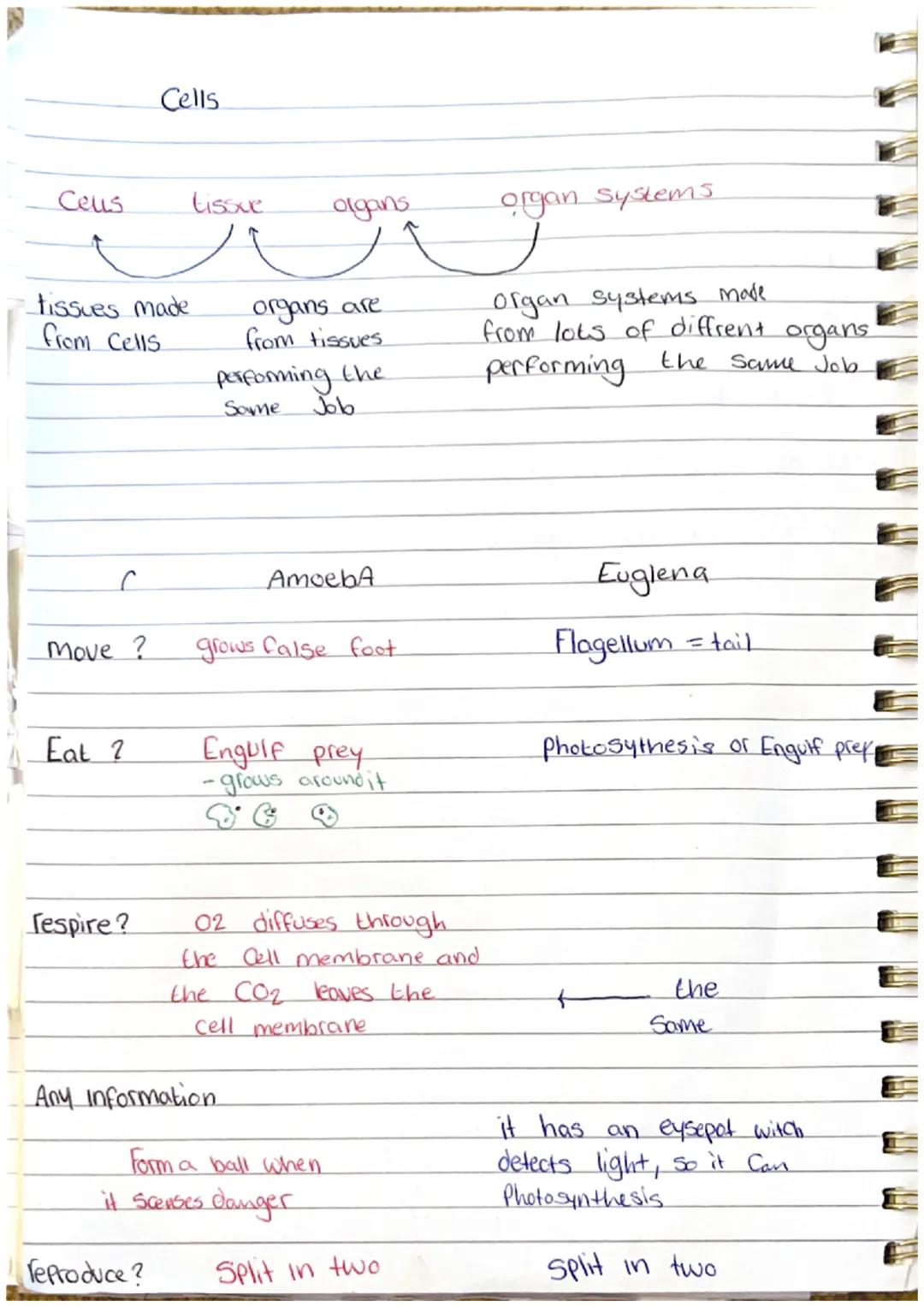 44 90
Cells
Cell membrane
nucleus. Just Controls the cell
+ Contains genetic material
Cell wall
cyto plasm
cell membrane
Cytoplasm - Chemica