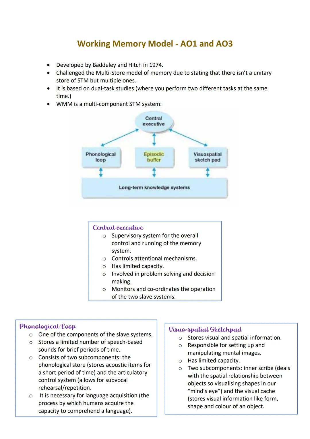 O
Working Memory Model - A01 and AO3
O
Developed by Baddeley and Hitch in 1974.
Challenged the Multi-Store model of memory due to stating th