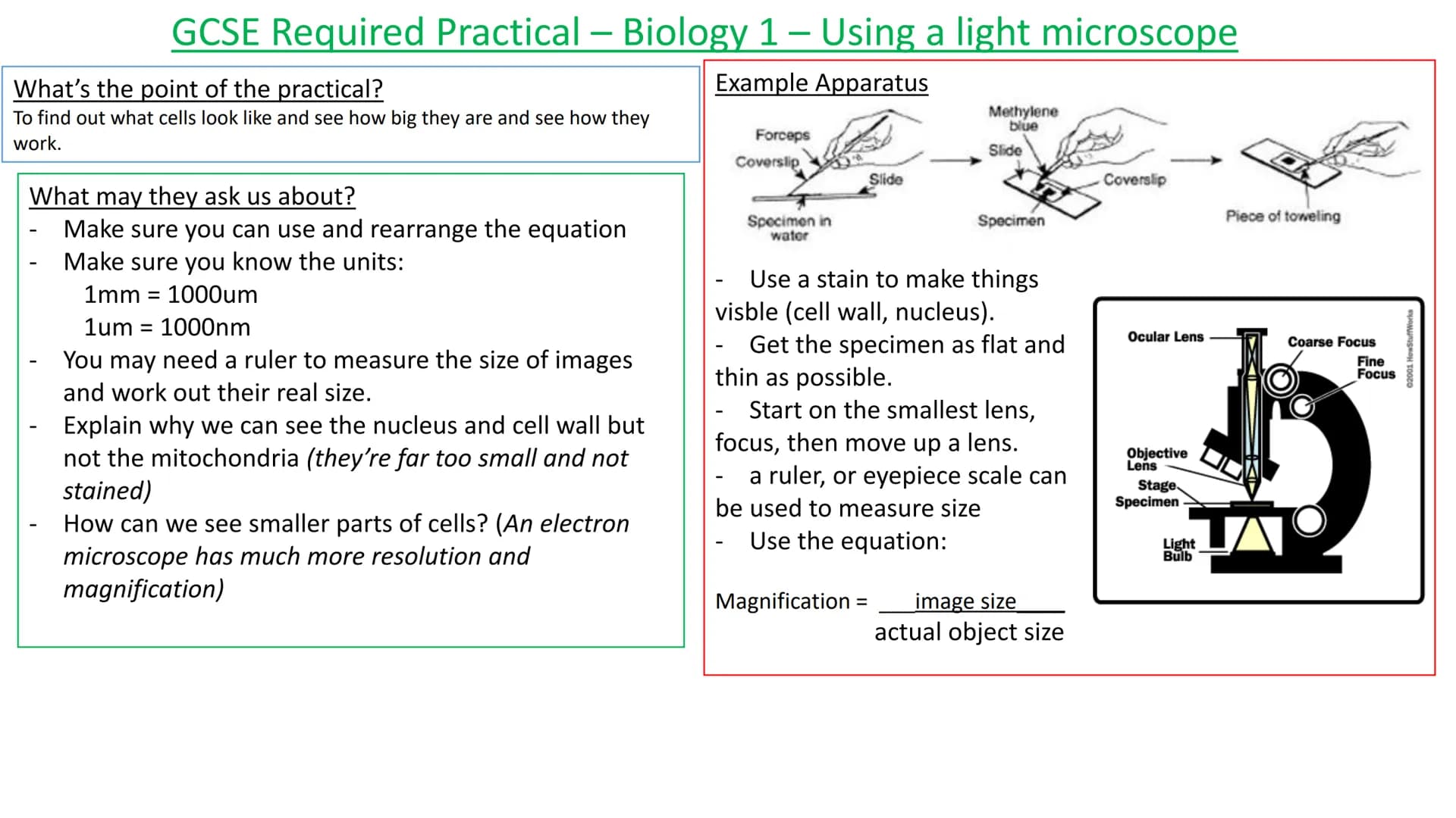 
<h2 id="exampleapparatus">Example Apparatus</h2>
<p>The practical aims to observe and understand the appearance and size of cells, as well 