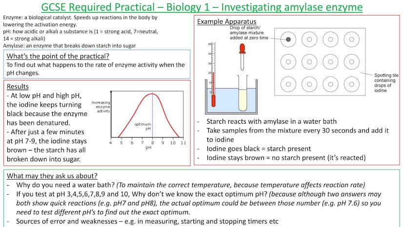 
<h2 id="exampleapparatus">Example Apparatus</h2>
<p>The practical aims to observe and understand the appearance and size of cells, as well 