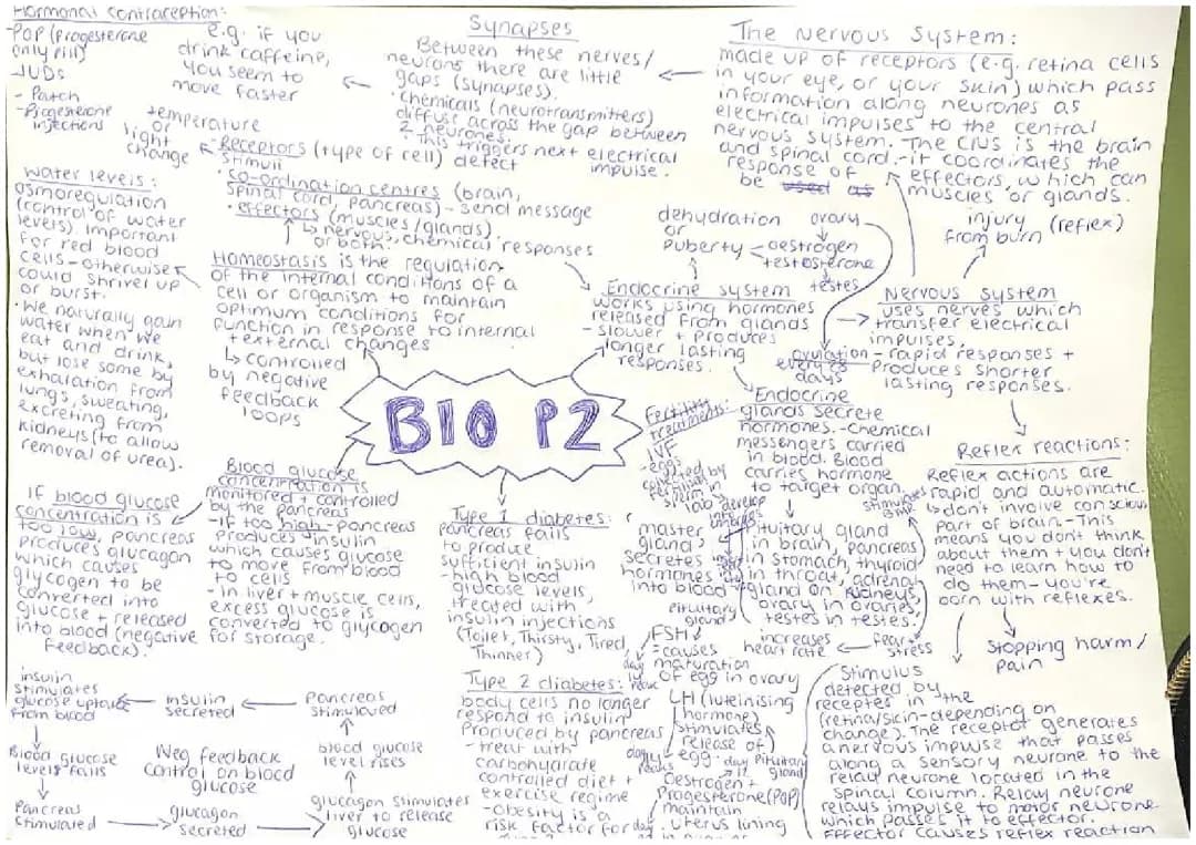 Aqa Combined Science Paper 2: Hormonal Contraception, Blood Glucose, and Homeostasis Questions