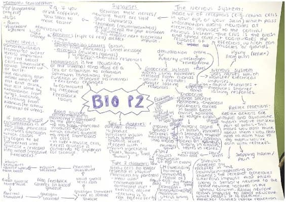 Know aqa combined science biology paper 2 revision: homeostasis and response thumbnail