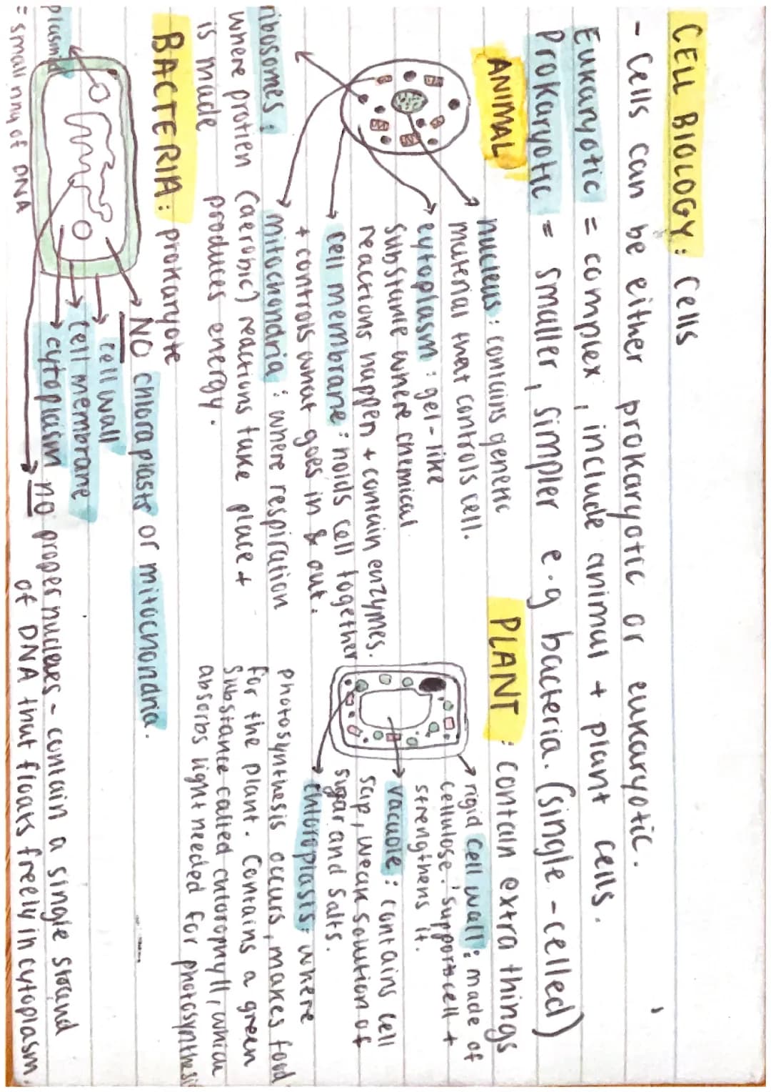CELL BIOLOGY: combined science gcse aqa notes - higher 