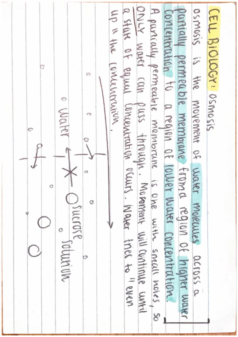 -
CELL BIOLOGY: Cells
Cells can be either prokaryotic or eukaryotic.
Eukaryotic = complex, include animul + plant cells.
Prokaryotic = small