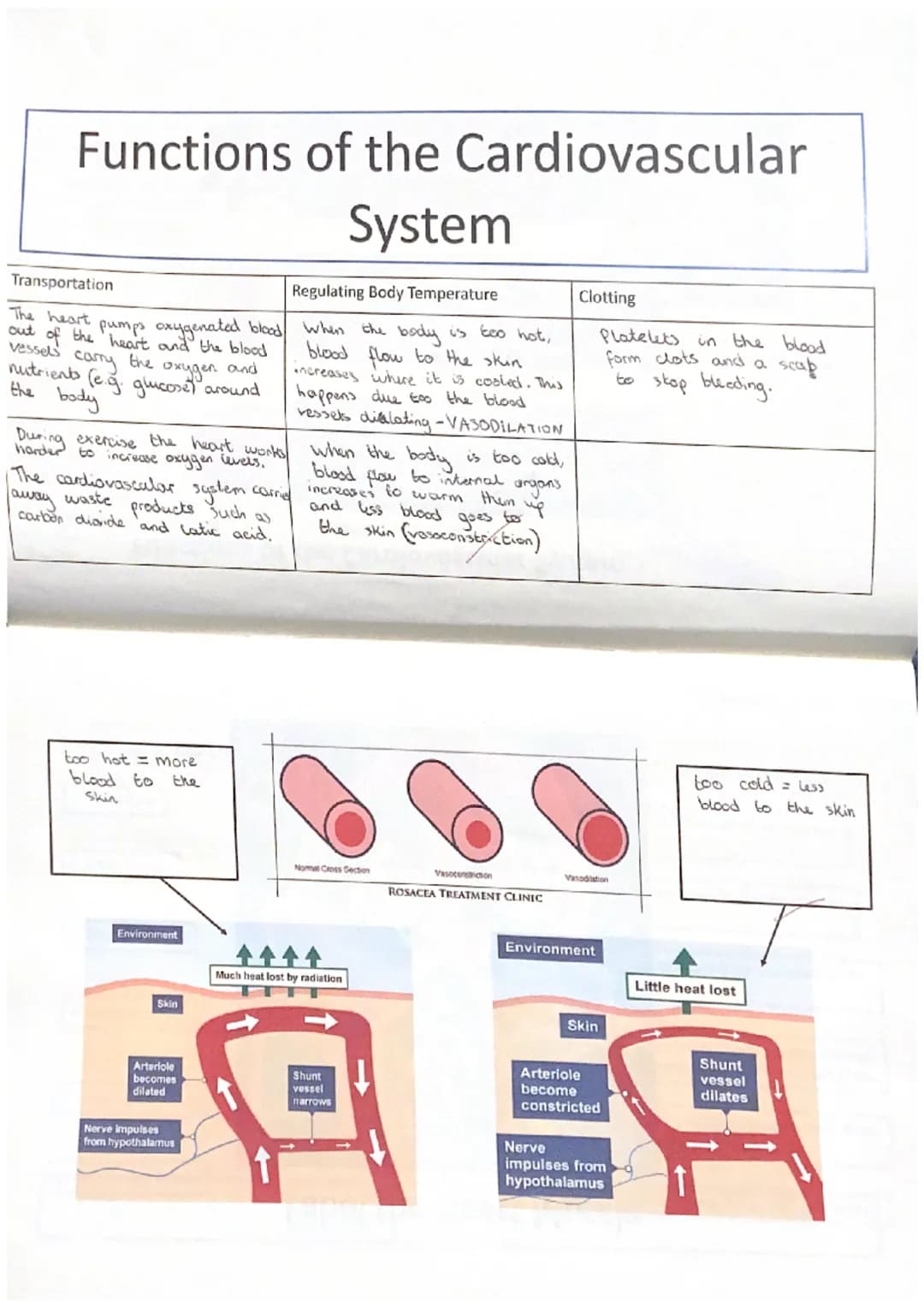 Functions of the Cardiovascular
System
Transportation
The heart pumps oxygenated blood when the body
out of the heart and the blood
nutrient