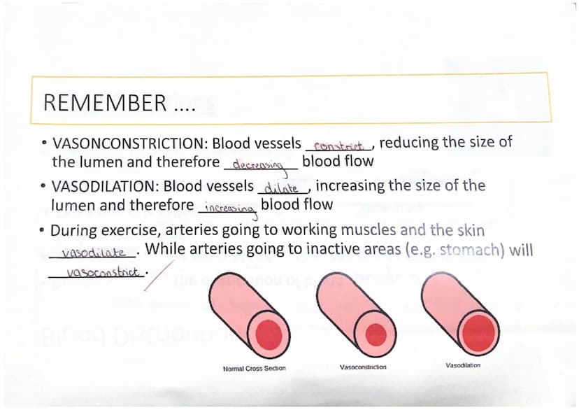 Functions of the Cardiovascular
System
Transportation
The heart pumps oxygenated blood when the body
out of the heart and the blood
nutrient