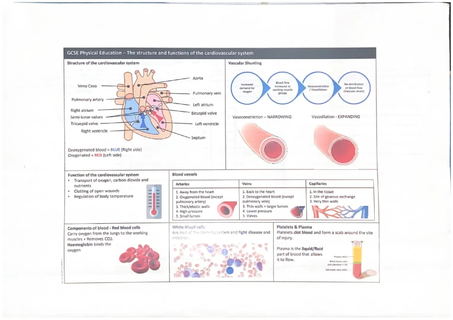 Functions of the Cardiovascular
System
Transportation
The heart pumps oxygenated blood when the body
out of the heart and the blood
nutrient
