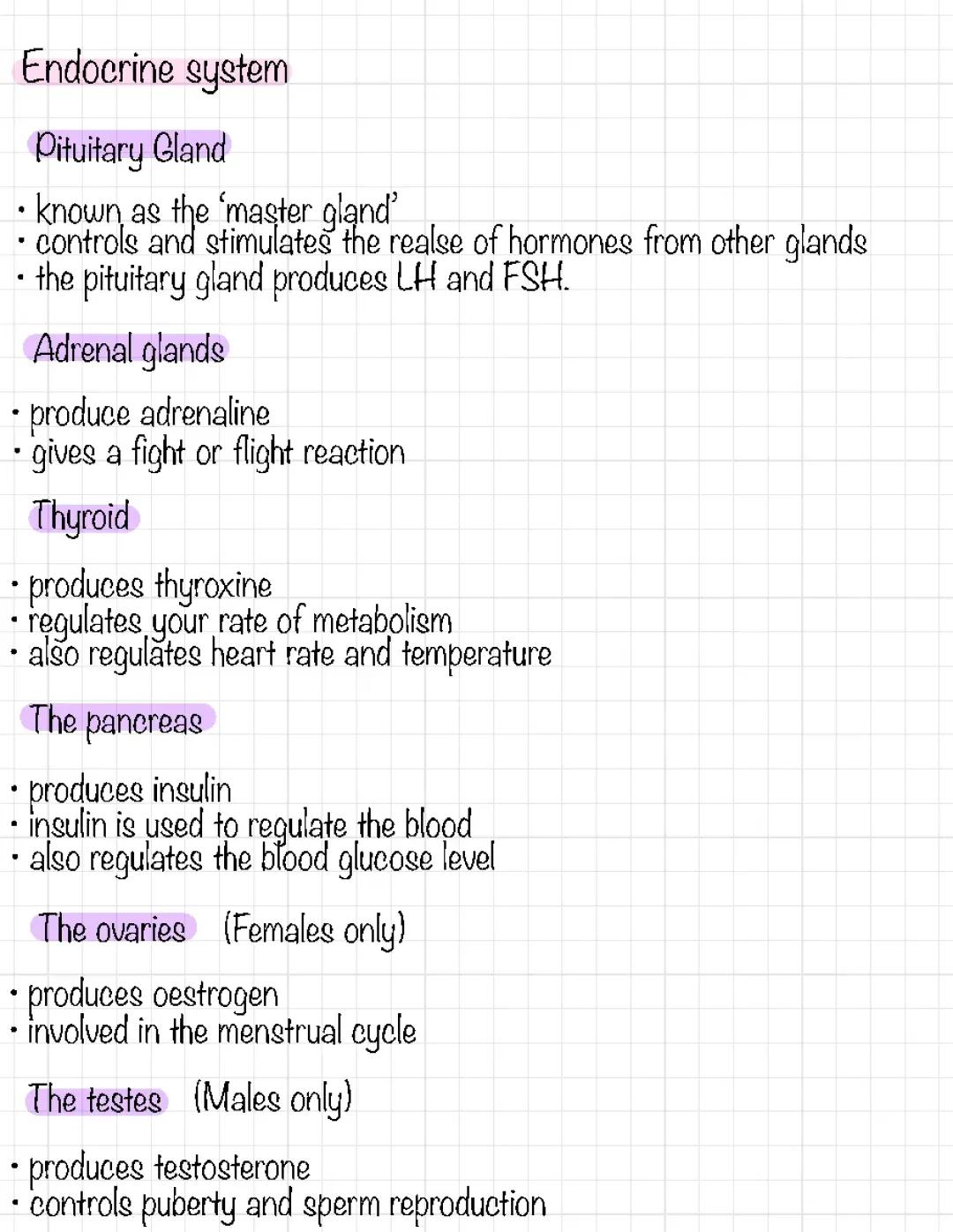 Endocrine system