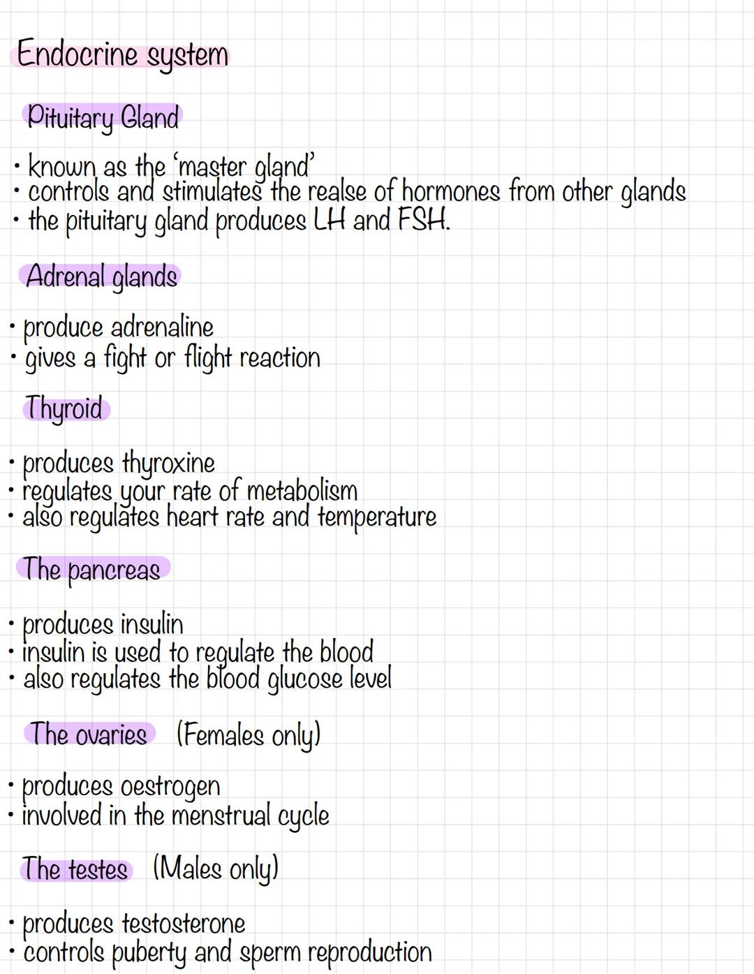 Endocrine system
Pituitary Gland
• known as the 'master gland'
controls and stimulates the realse of hormones from other glands
the pituitar