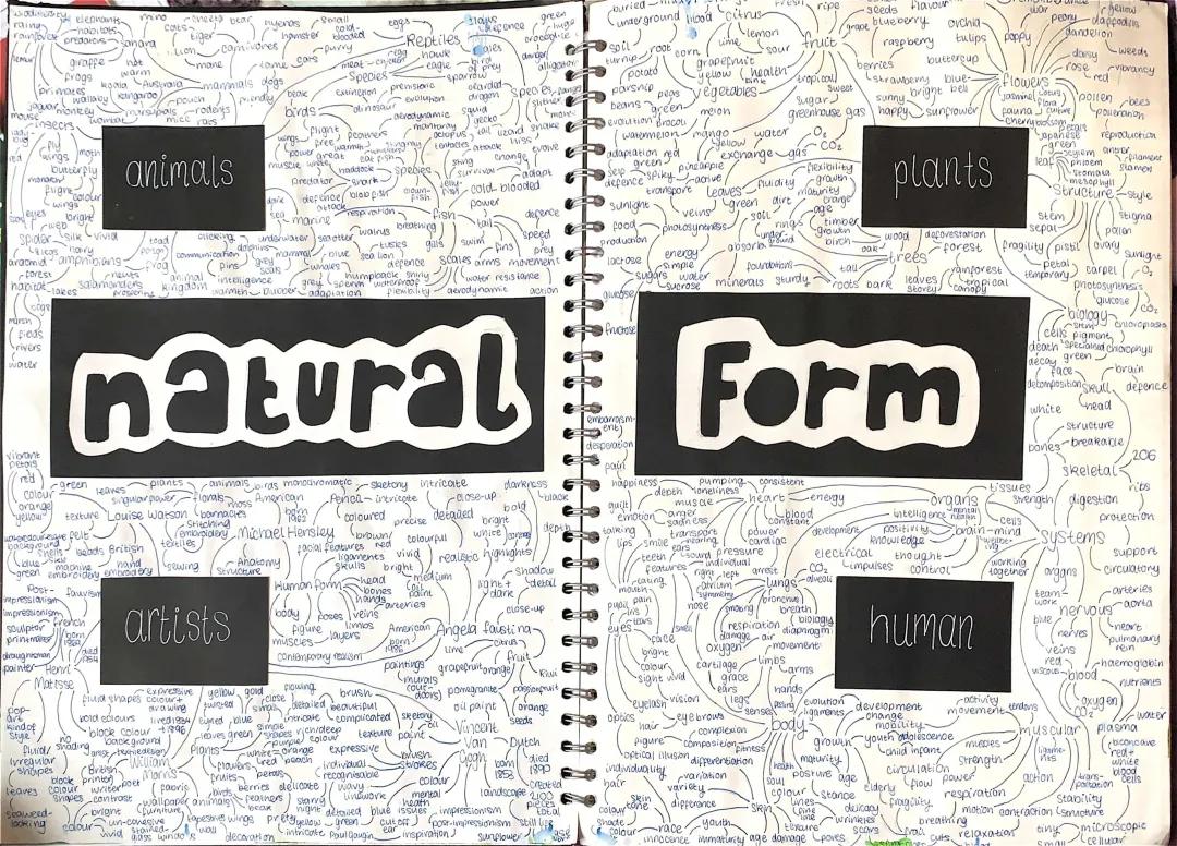 Easy GCSE Art: Natural Forms, Mind Maps, and Themes 2024