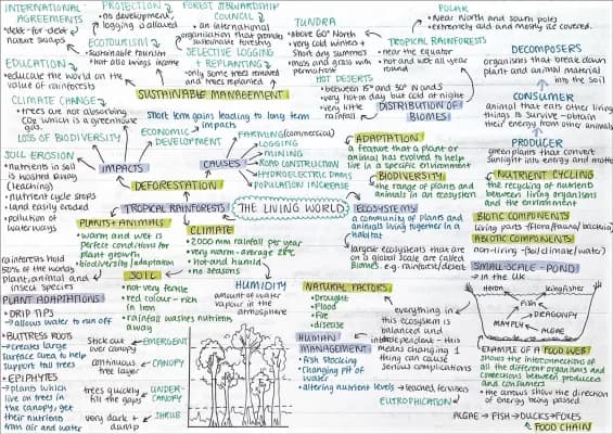 Know The living world - Malaysia case study thumbnail