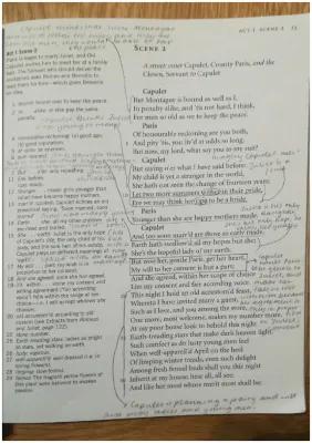 Know English literature: Romeo & Juliet - Act 1 Scene 2 - ANNOTATIONS thumbnail