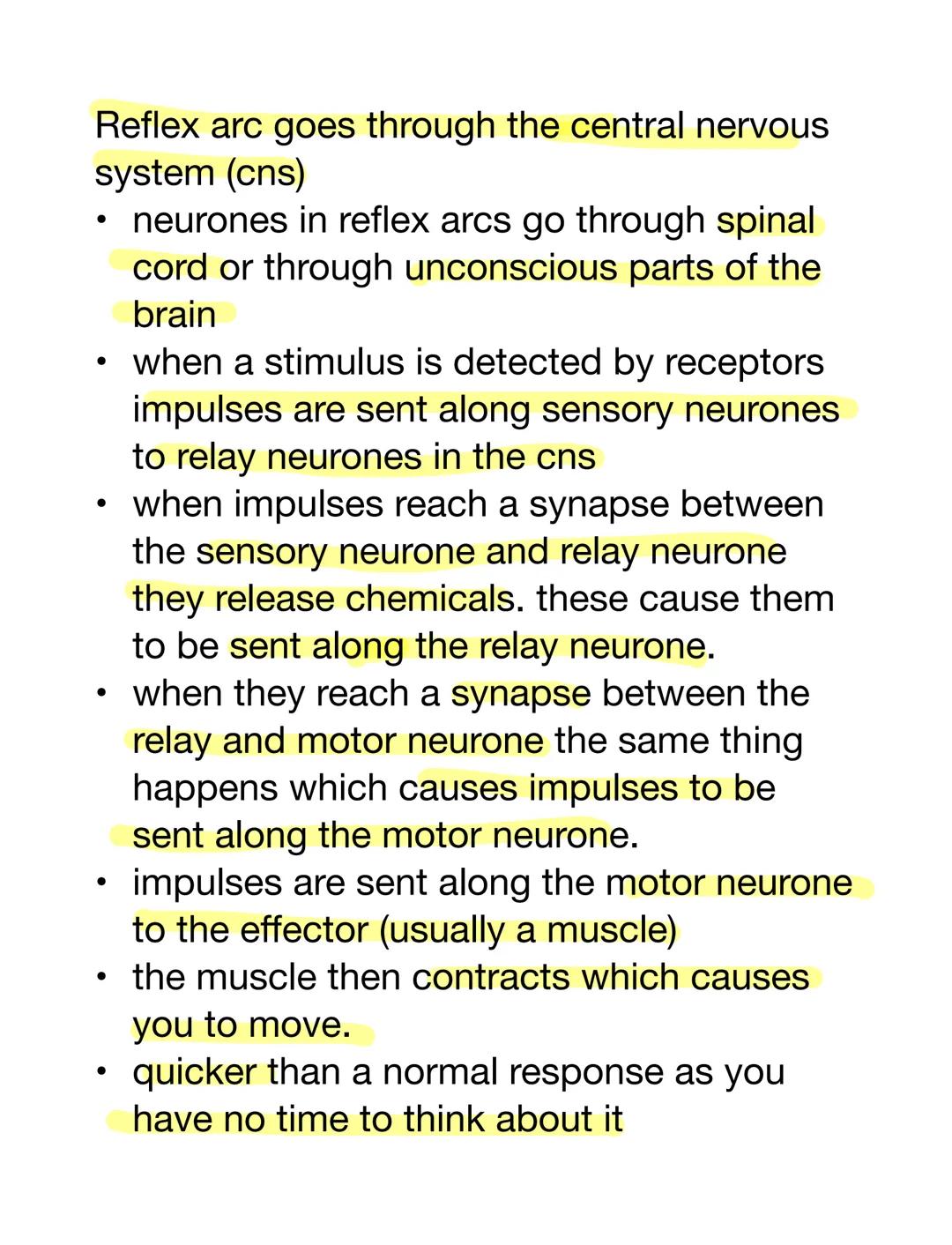 Synapses connect neurones
synapses connect 2 neurones
nerve signal transferred by chemicals
which diffuse across the gap which then
set off 