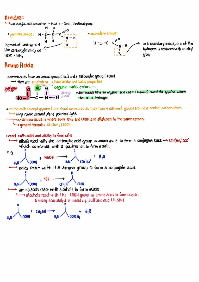 Amines
derived from ammonia molecules, contains nitrogen atom where hydrogens are replaced with an organic
group. Leg. alkyl group)
H
CH3
•P