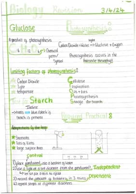 Know photosynthesis  thumbnail