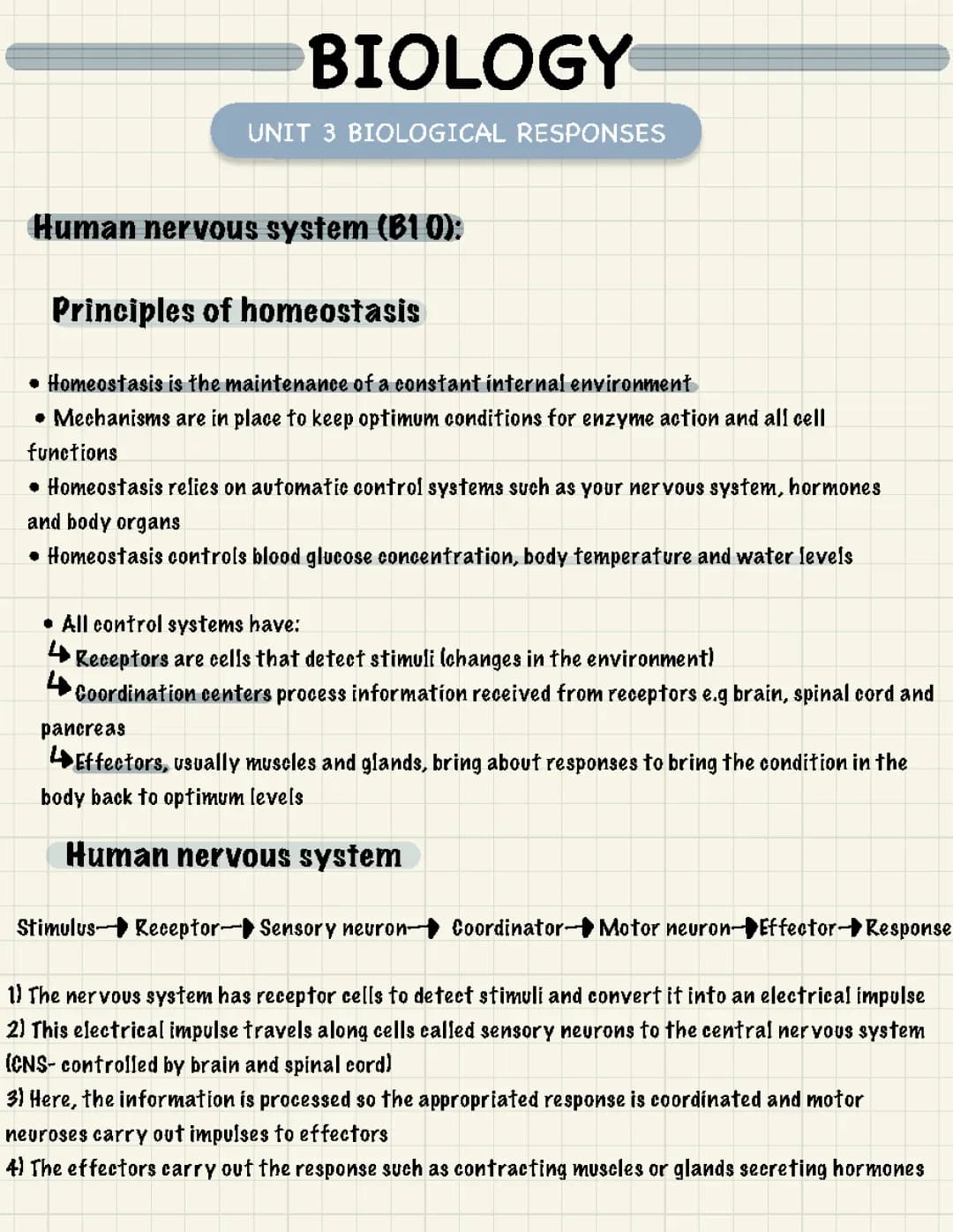 How Your Nervous System Keeps You Healthy: Homeostasis and More!