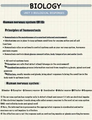 Know Biology Unit 3 Summary Notes  thumbnail