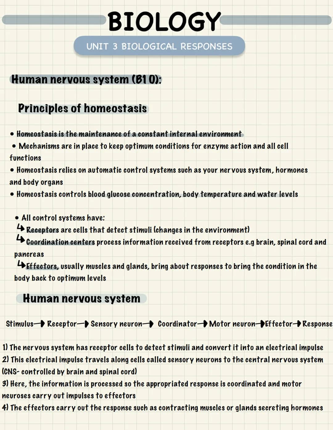 
<p>One of the essential functions of the human nervous system is to maintain homeostasis. This refers to the maintenance of a constant inte