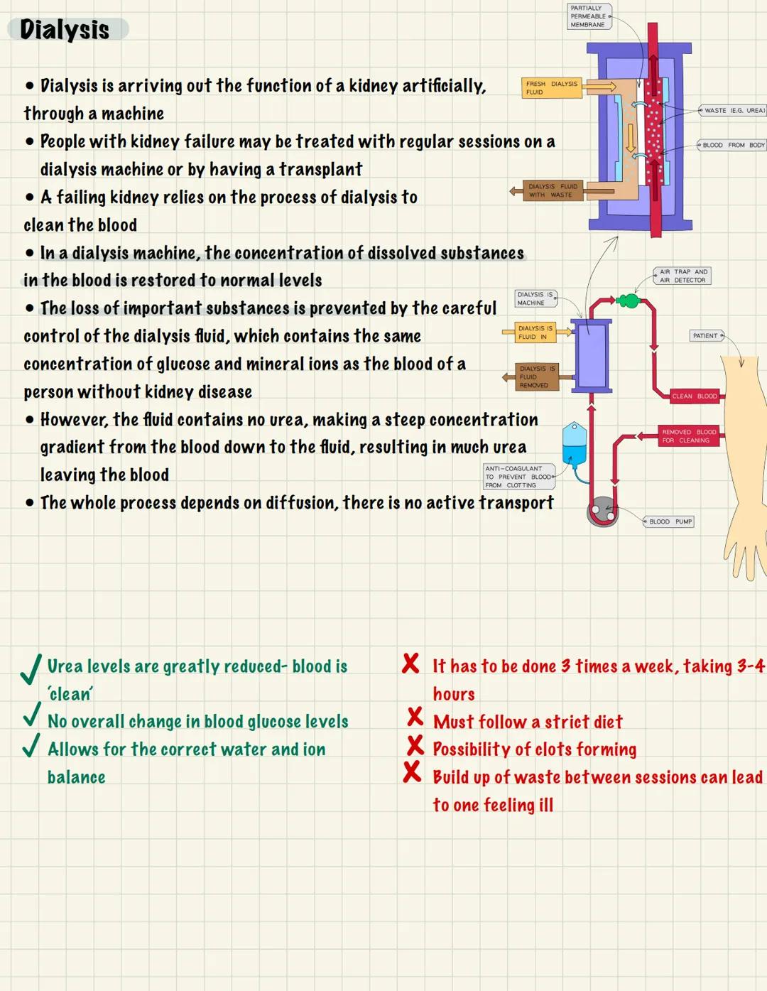 
<p>One of the essential functions of the human nervous system is to maintain homeostasis. This refers to the maintenance of a constant inte