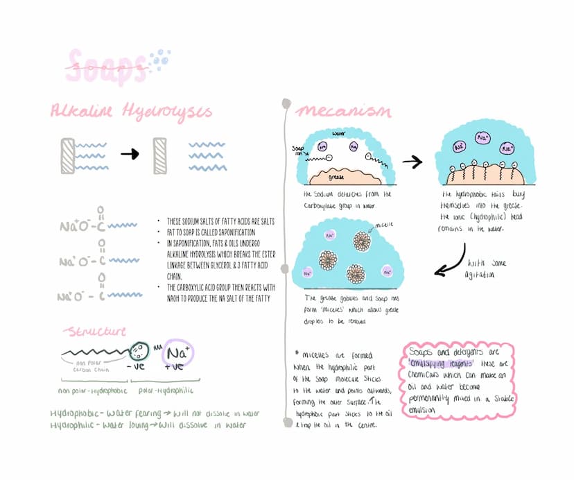 chemistry
UNIT 28 Primary, Secondary, tertiary
ALCOHOLS ALL CONTAIN THE HYDROXYL
FUNCTIONAL GROUP. ALCOHOLS HAVE THE
SAME GENERAL FORMULA (C