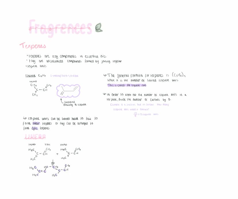 chemistry
UNIT 28 Primary, Secondary, tertiary
ALCOHOLS ALL CONTAIN THE HYDROXYL
FUNCTIONAL GROUP. ALCOHOLS HAVE THE
SAME GENERAL FORMULA (C