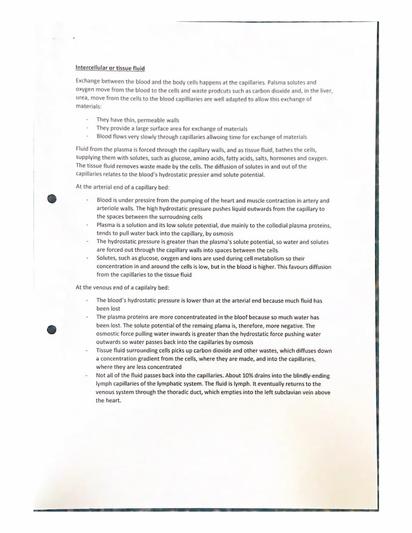 Features of a transport system
Transport systems in animals have:
Transport in animals notes
a suitable medium in which to carry materials
a