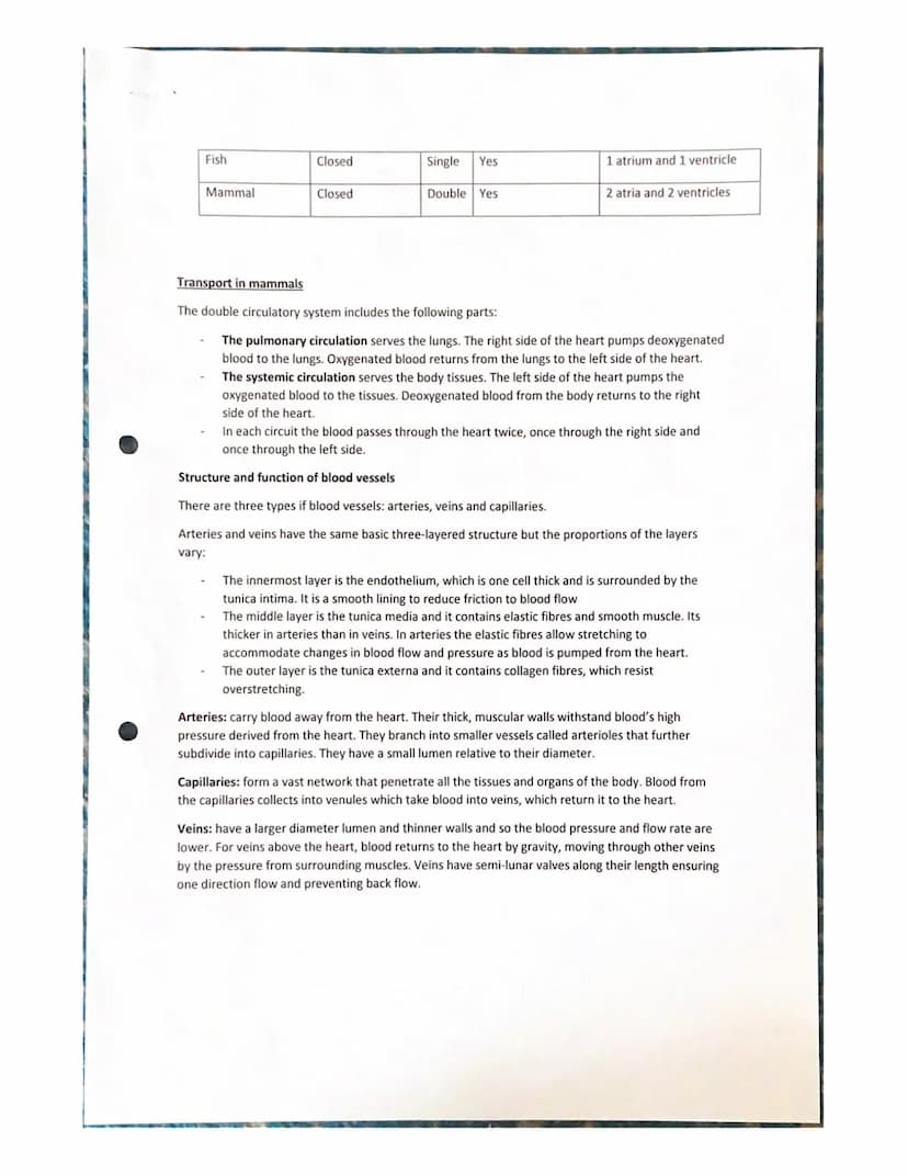 Features of a transport system
Transport systems in animals have:
Transport in animals notes
a suitable medium in which to carry materials
a